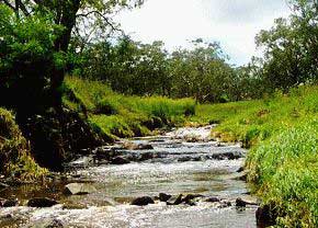 Gowrie Creek